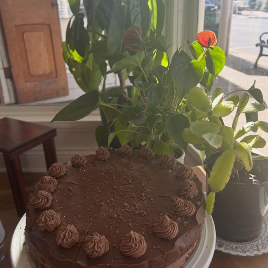 A chocolate cake finished with piped rosettes around the rim