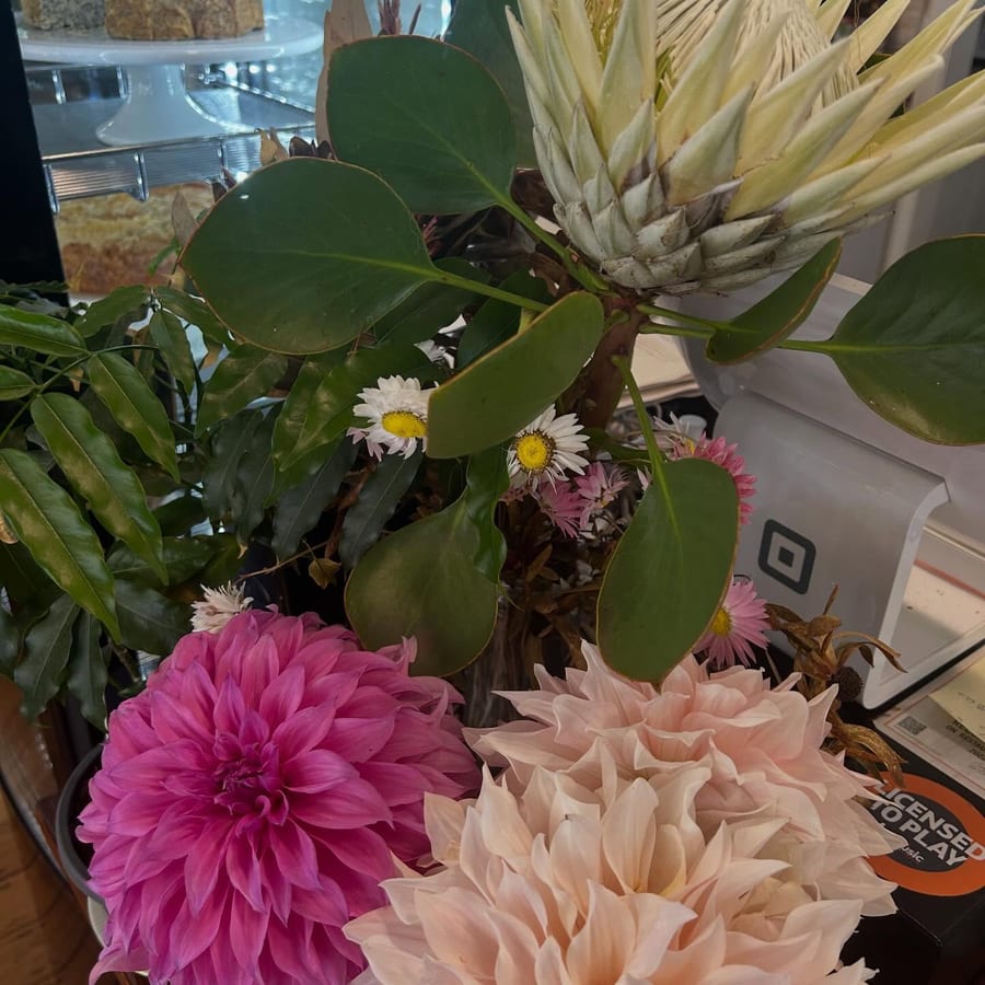 Dahlias and a king protea arranged on a table in the cafe