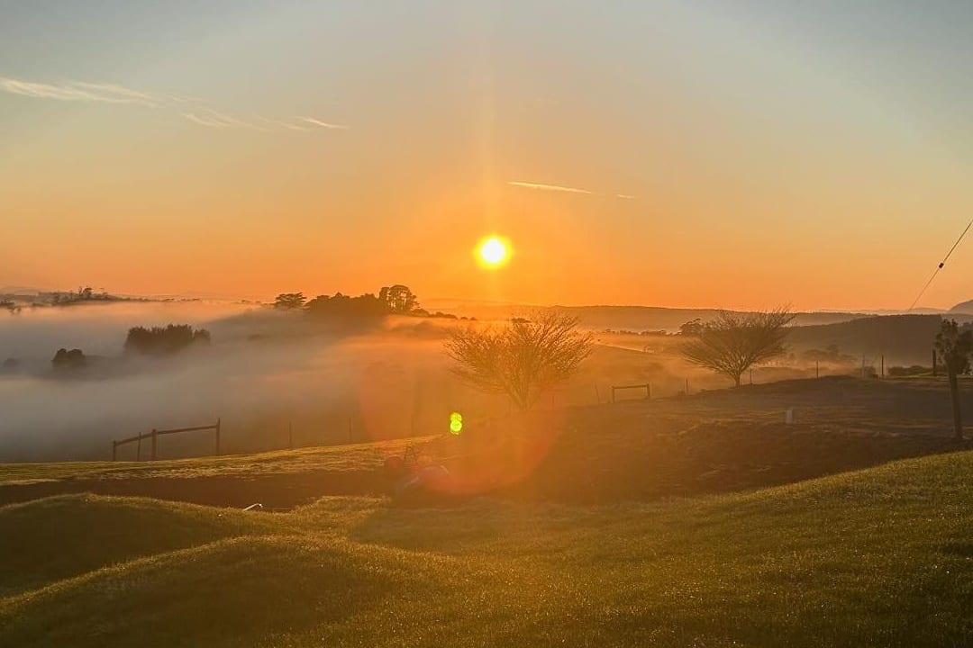 Sunrise over mist-filled paddocks in the hills around Sheffield, Tasmania