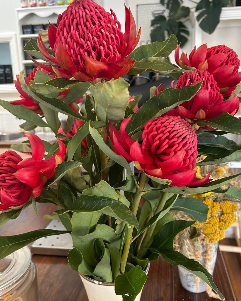 A vase of red waratahs on the counter at The Epicurean Cafe